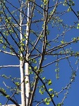 IMG_1838.jpg